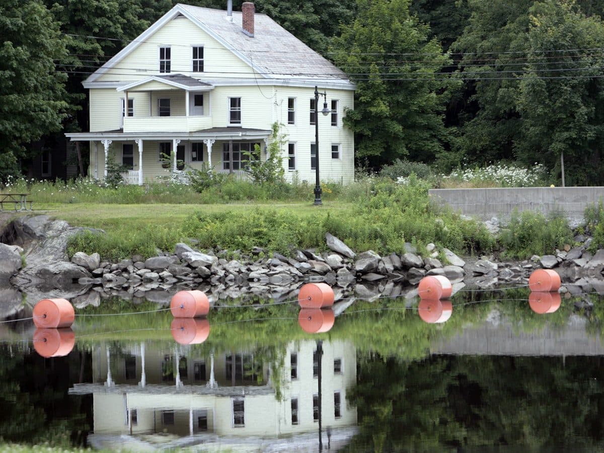 Multi-Family in Dorchester