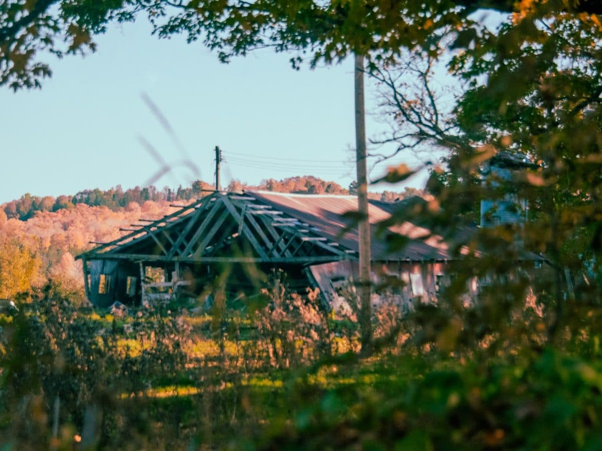 Single Family in Forest Park